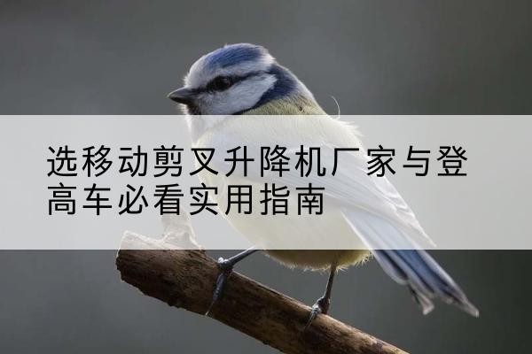 云岩电动升降机厂家-选移动剪叉升降机厂家与登高车必看实用指南