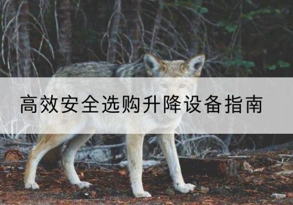 云岩升降货梯厂家推荐-*安全选购升降设备指南