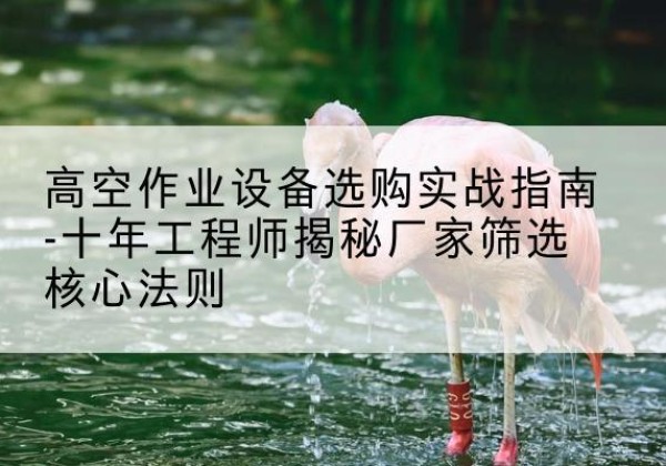云岩剪叉式升降机厂家-高空作业设备选购实战指南-十年工程师揭秘厂家筛选核心法则